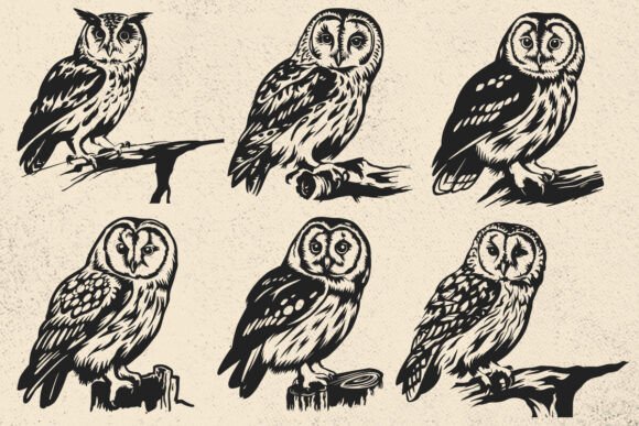 Download Tawny Owl SVG File for Cricut, Bird Svg - Svg file for cricut Collection